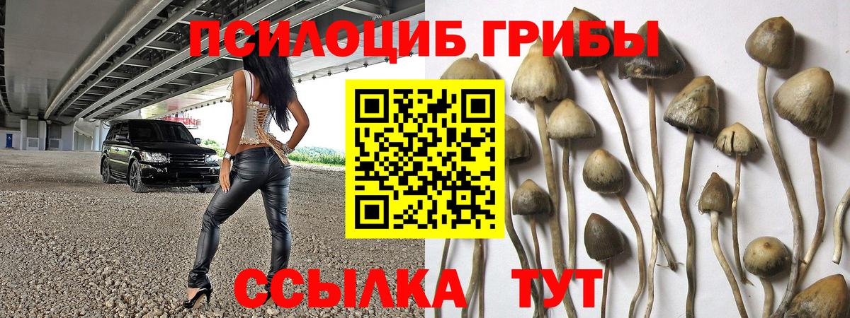 Галлюциногенные грибы MAGIC MUSHROOMS  Вход с VPN  Домодедово 