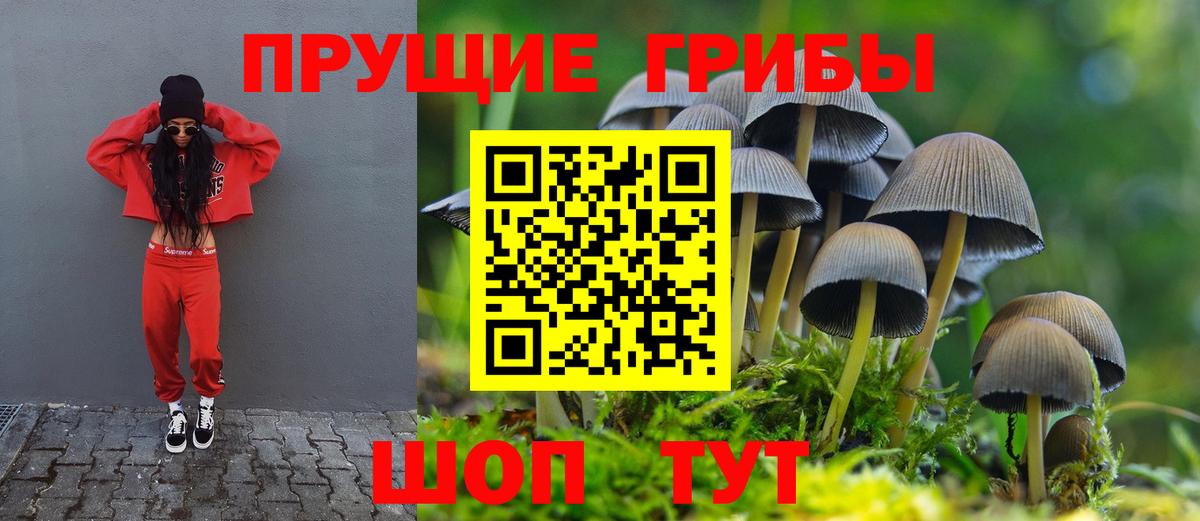 Псилоцибиновые грибы прущие грибы Домодедово